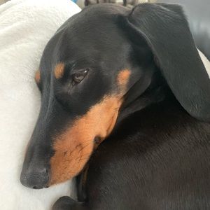 Meet your Posher, Julie-ann